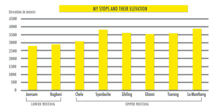 My stops and their elevation